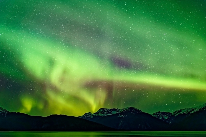 Aurora Borealis, aurora borealis, over the Coast Mountains near Haines, front Lynn Canal in the Inside Passage, Southeast Alaska, Alaska, USA, North America, by Gerhard Kraus