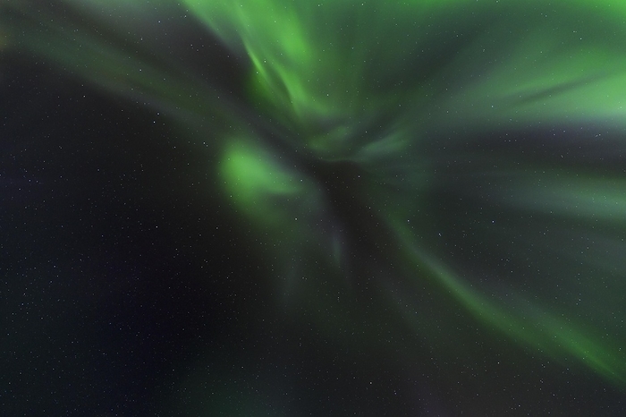 Northern Lights or Aurora Borealis, Hamnøy, Lofoten, Nordland, Norway, Europe, by Manfred Schmidt