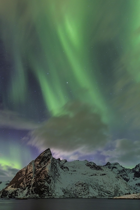 Northern Lights or Aurora Borealis over Reinefjord, winter, snow-capped mountains behind, Reine, Lofoten, Nordland, Norway, Europe, by Manfred Schmidt
