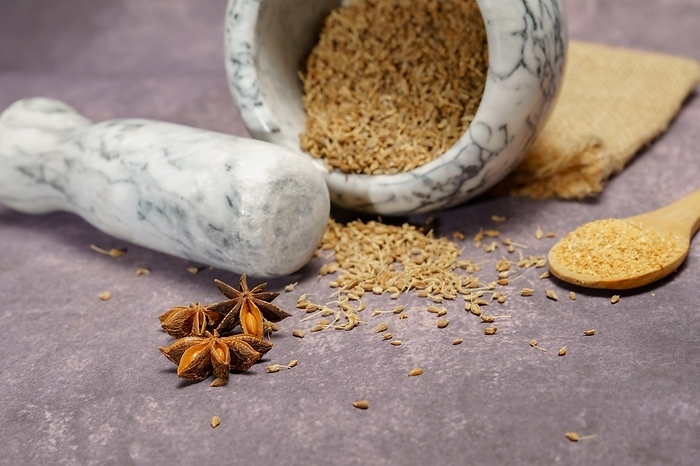 Whole dried anise (Pimpinella anisum) seeds in a ceramic mortar and pestle, with ground anise and star anise, by joseantona