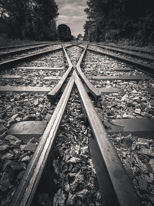 Railway tracks meeting in the forest converge in sepia tones to an uncertain point, by Karin Goldberger