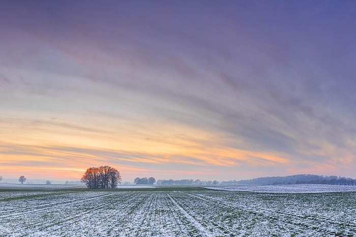 Evening atmosphere of a snow-covered field, sunset, Schneeren, Neustadt am Rübenberge, Hannover Region, Lower Saxony, Germany, Europe, by Karsten Jeltsch