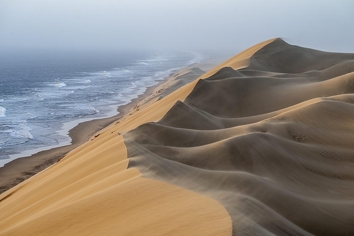 Sand dunes and sea in the evening light, wind blows sand over the dunes, view of the Atlantic coast from high sand dunes, Sandwich Harbour, Namib Naukluft Park, Namibia, Africa, by Mara Brandl