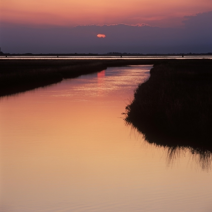 Sunset in the lagoon at Lio Piccolo, Venice, Italy, Europe, by Peter Fischer