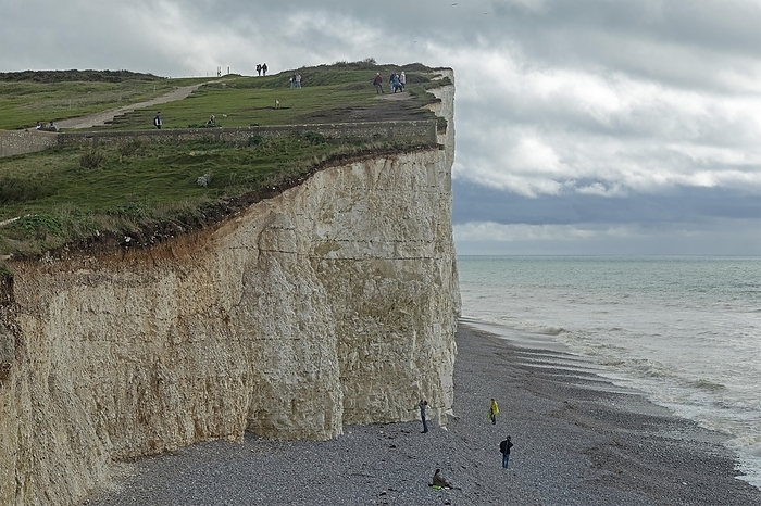 White Cliffs, Seven Sisters, Birling Gap, East Sussex, England, Great Britain, by Siegfried Kuttig