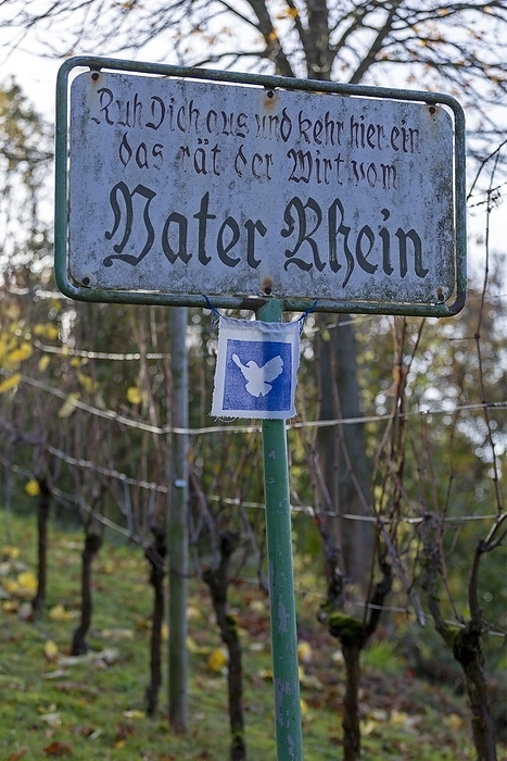 Old sign of a restaurant on the Eselsweg to Drachenfels, Königswinter, North Rhine-Westphalia, Germany, Europe, by Siegfried Kuttig