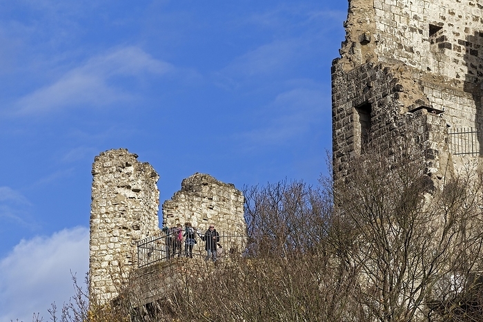 Castle ruins, Drachenfels, Königswinter, North Rhine-Westphalia, Germany, Europe, by Siegfried Kuttig