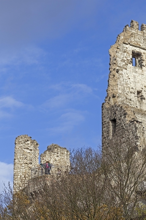 Castle ruins, Drachenfels, Königswinter, North Rhine-Westphalia, Germany, Europe, by Siegfried Kuttig