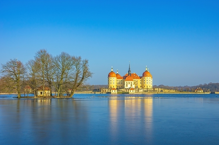 Winterly Moritzburg Castle and Duck Island with group of trees in the half-frozen castle pond, Moritzburg near Dresden, Saxony, Germany, Europe, by Ullrich Gnoth