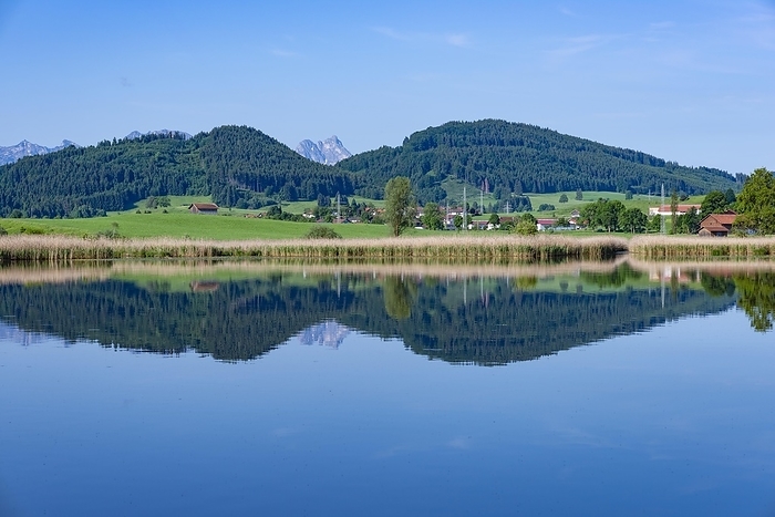 Panorama at Schmutterweiher, near Roßhaupten, behind Ammergau Alps and Allgäu Alps, Ostallgäu, Allgäu, Alpine foothills, Swabia, Bavaria, Germany, Europe, by Walter G. Allgöwer