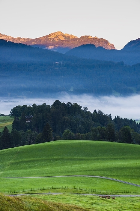 Stillachtal with early morning fog, near Oberstdorf, Oberallgäu, Bavaria, Germany, behind Toreck, 2029m, Vorarlberg, Austria, Europe, by Walter G. Allgöwer
