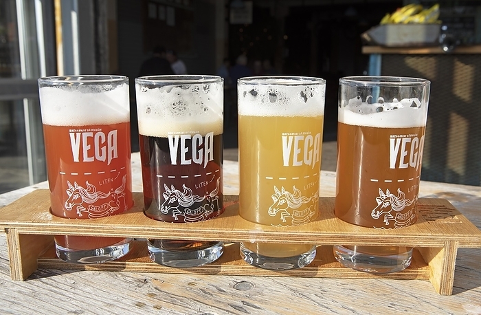 Vega, beer brewed in Gothenburg, Ringön, Gothenburg, Västra Götalands län, Sweden, Europe, by Martina Katz