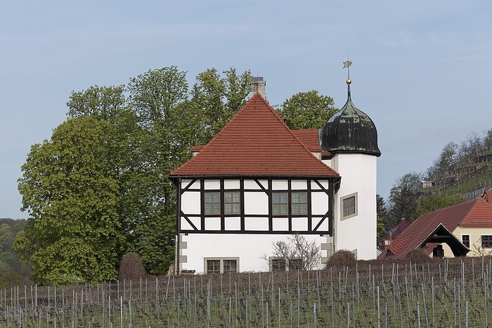 Hoflößnitz Winery, Saxon Wine Museum, historic vineyard landscape Radebeul, Oberlößnitz district, Radebeul near Dresden, Saxony, Germany, Europe, by Karl F. Schöfmann