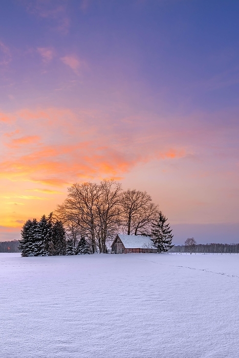 Winter landscape at sunset, barn, Schneeren, Neustadt am Rübenberge, Hannover region, Germany, Europe, by Karsten Jeltsch