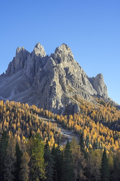 North face of the mountain Cadini di Misurina in autumn, fall in the Sesto, Sexten Dolomites, Belluno, South Tyrol, Italy, Europe, by alimdi / Arterra / Philippe Clément