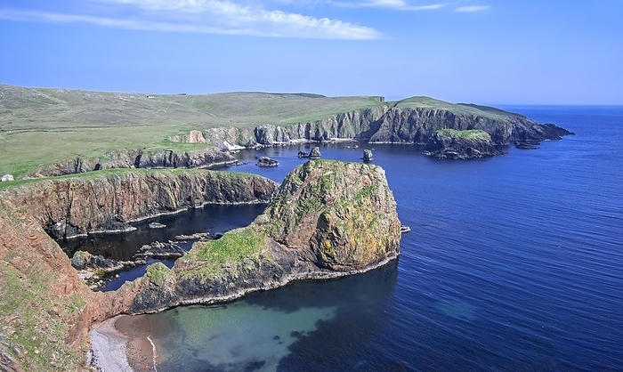 Spectacular coastline with sea cliffs and stacks at Westerwick, Mainland, Shetland Islands, Scotland, UK, by alimdi / Arterra / Philippe Clément