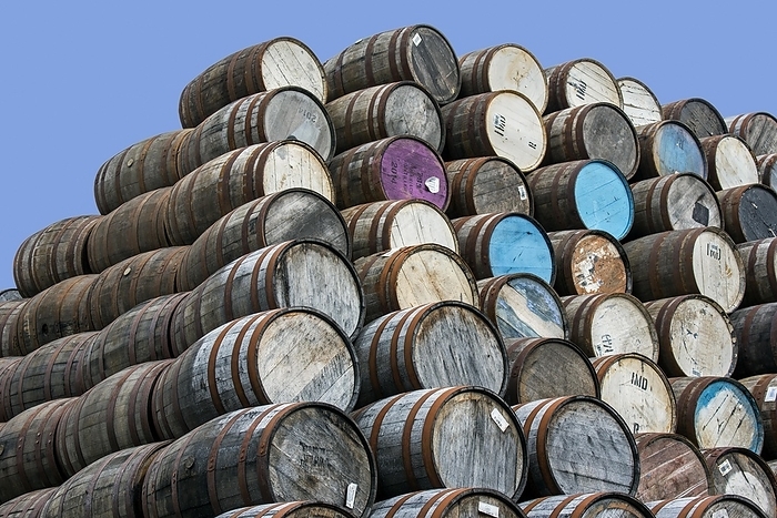 Huge stacks of discarded whisky casks, barrels at Speyside Cooperage, Craigellachie, Aberlour, Banffshire, Grampian, Scotland, UK, by alimdi / Arterra / Philippe Clément