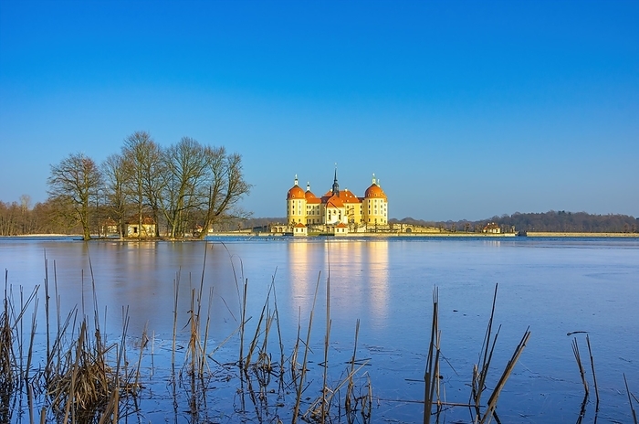 Winterly Moritzburg Castle and Duck Island with group of trees in the half frozen castle pond, Moritzburg near Dresden, Saxony, Germany, Europe, by Ullrich Gnoth