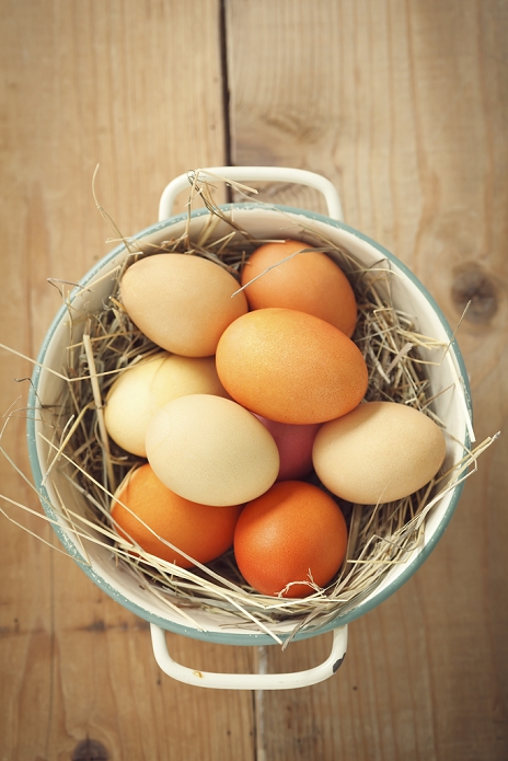 egg Coloful Easter eggs in basket, studio shot