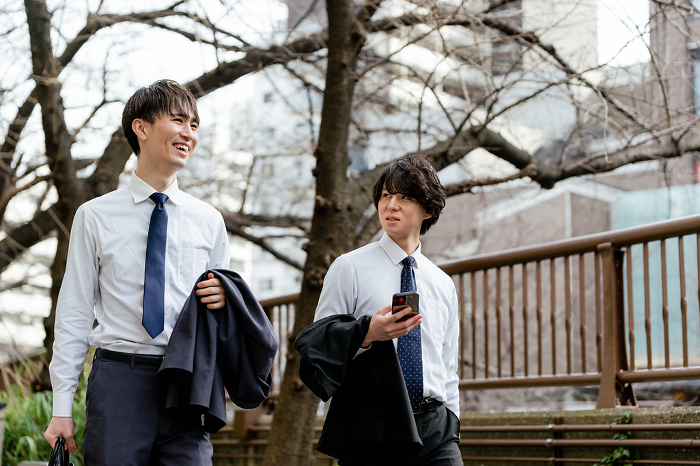 Two young businessmen, Japanese men, walking side by side on a green street with cherry blossom trees, talking on their smartphones (People)