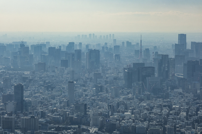 Tokyo skyscrapers viewed from the observatory