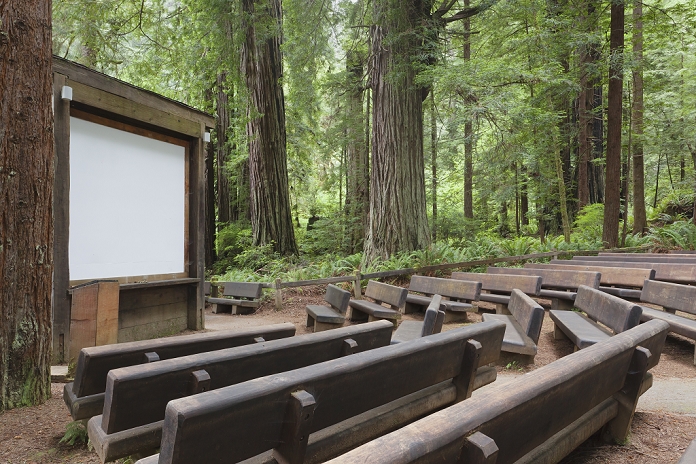 There is an open air theatre space in a clearing in Redwood National park, with benches and a white screen and podium.