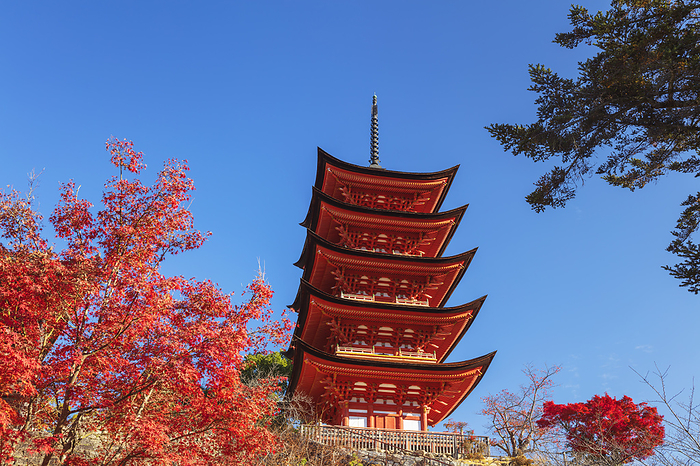 Five-storied Pagoda at Miyajima, Hiroshima Prefecture