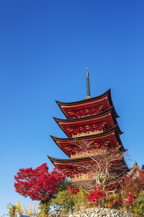 Five-storied Pagoda at Miyajima, Hiroshima Prefecture