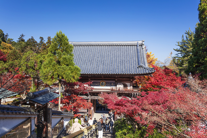 Ninomon Gate and Autumn Leaves at Daisho-in Temple, Hiroshima Pref.
