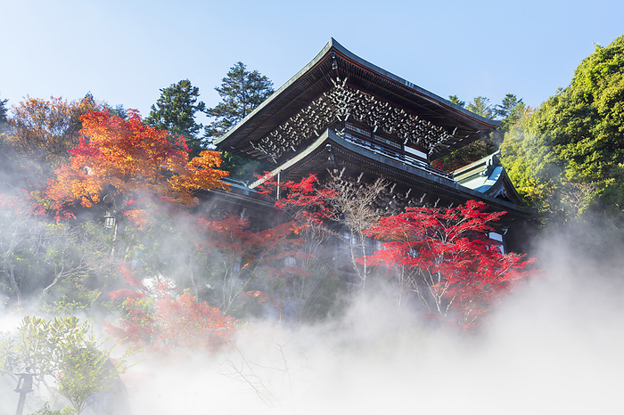 Autumn leaves and artificial sea of clouds at Daisho-in Temple, Hiroshima, Japan