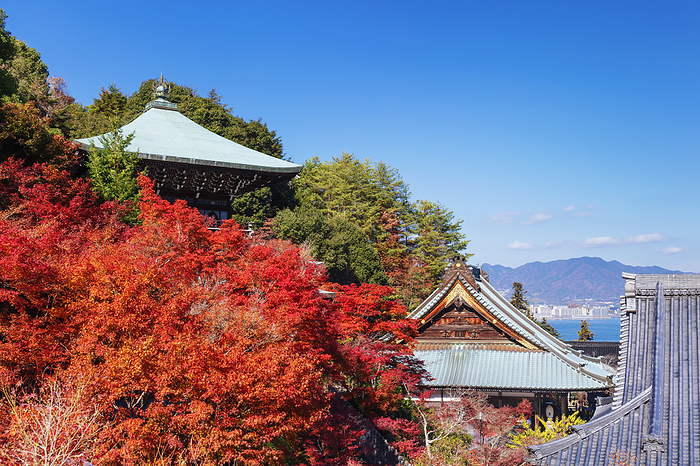 Autumn leaves at Daishyoin Temple, Hiroshima Pref.