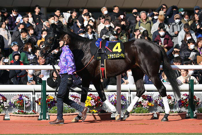 2024 Osaka Castle Stakes 2024 03 03 HANSHIN 11R Salaried 4 Year Old Open osakajo stakes osakajo stakes Winner   5 favorite Stella Veloce   Hanshin Racecourse in Hyogo, Japan on March 3, 2024.