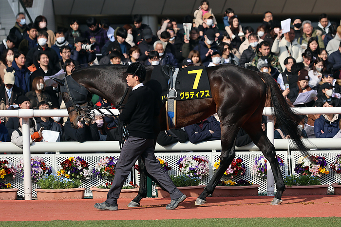2024 Osaka Castle Stakes 2024 03 03 HANSHIN 11R Salaried 4 Year Old Open osakajo stakes   osakajo stakes 8 horses   2 favorite Gratias   Hanshin Racecourse in Hyogo, Japan on March 3, 2024.