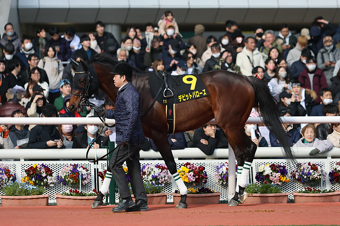 2024 Osaka Castle Stakes 2024 03 03 HANSHIN 11R Salaried 4 Year Old Open osakajo stakes osakajo stakes 2nd   3 Favorite David Barows   Hanshin Racecourse in Hyogo, Japan on March 3, 2024.