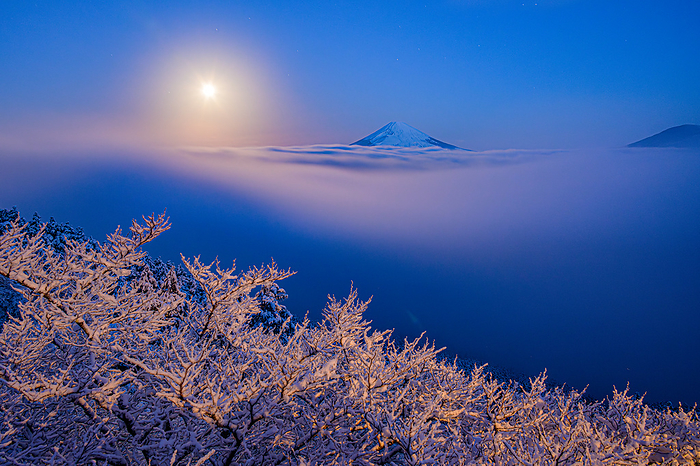 Fuji in the moonlight and the ice trees Kanagawa Pref.