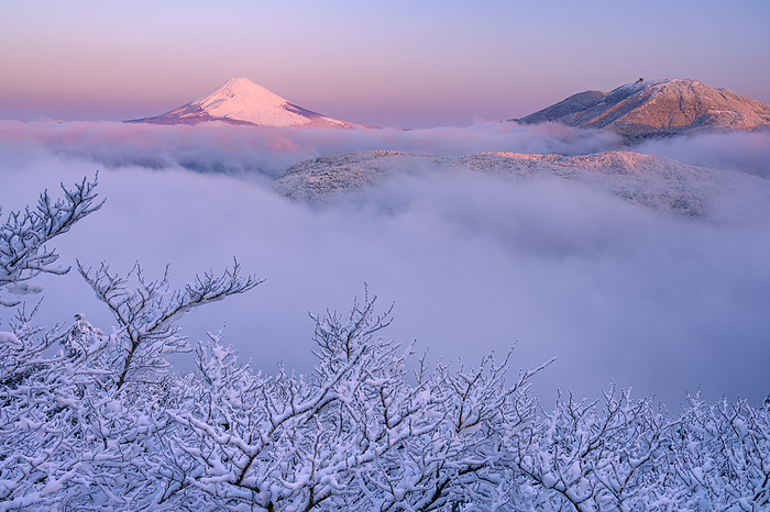 Mt. Fuji and sea of clouds from Daikanzan, Kanagawa Prefecture