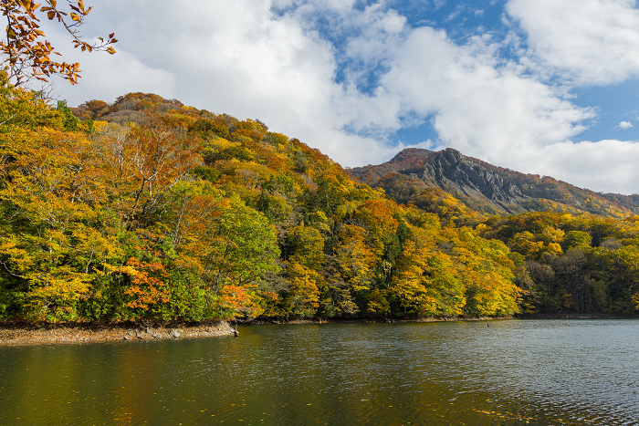 Kuzu-zan's large avalanche and autumn leaves from the pond of Jyutojo, a group of lakes and marshes located in the western part of the Shirakami Mountains in Fukaura-cho, Nishitsugaru-gun, Aomori Prefecture, Japan