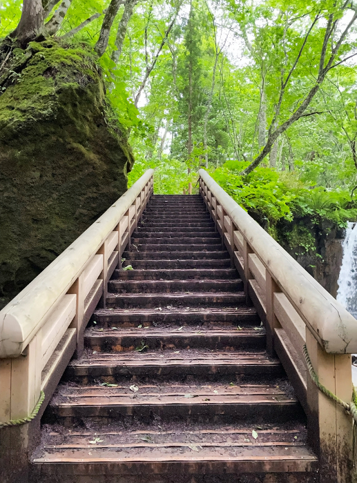 Wooden stairs Oirase Stream in Aomori Prefecture