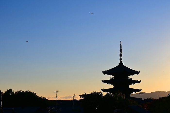 Yasaka-no-to (Pagoda of Yasaka Pagoda) viewed from Higashiyama Restoration Path, Kyoto at dusk