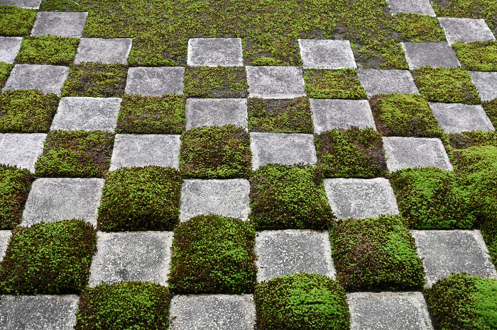 Checkered pattern in the modern hojo north garden at Tofukuji Temple, Kyoto