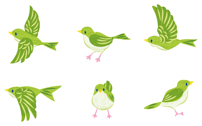 Clip art set of bird Green