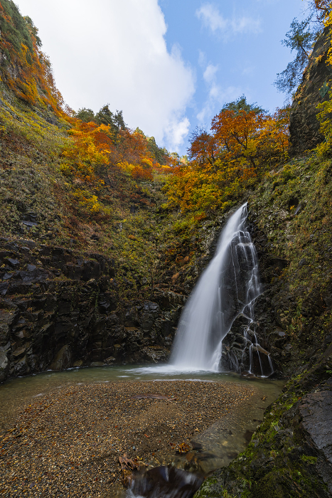 The third waterfall and autumn leaves of Ankomon Falls in Shirakami Sanchi, a World Heritage Site in Nakatsugaru-gun, Aomori Prefecture, Japan