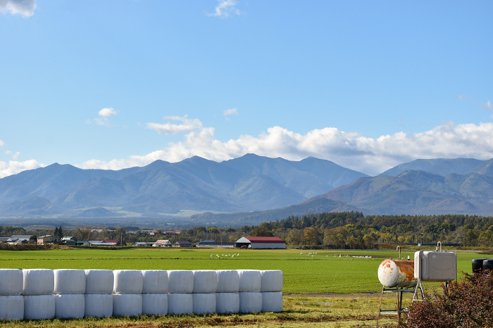 Field with grass rolls with mountain range in the background.