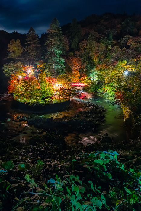 Illuminated autumn leaves at Nakano Momijiyama in Kuroishi, Aomori, Japan