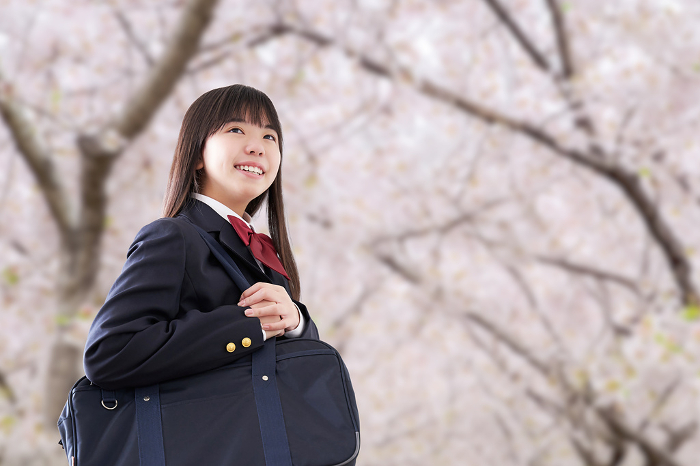 Japanese female student walking to school under the cherry blossoms (People)