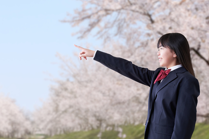 Japanese female student pointing under cherry blossoms (People)