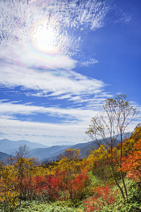 Autumn leaves and colored clouds on Mt. Yake, Nagano Pref.