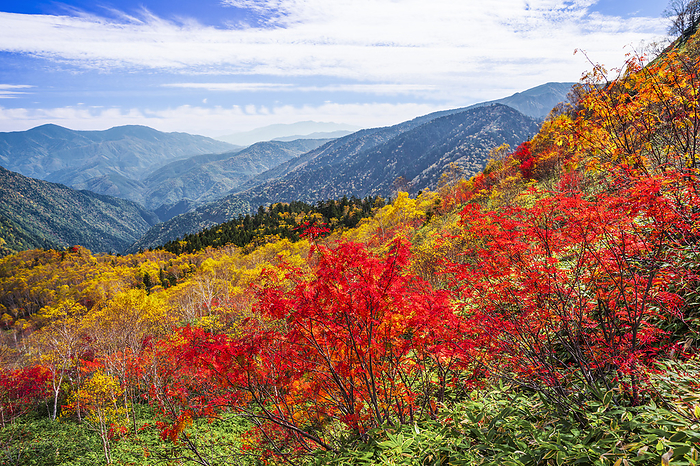 Autumn leaves and mountain range of Yake dake, Nagano Pref. The mountain in the back right is Mt. 