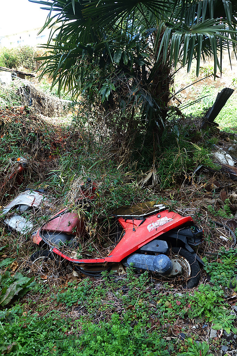 Illegally dumped scooter