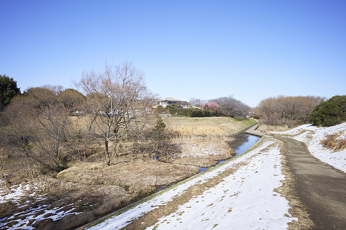 Fixed point photography in 2024 Kiyose City Four seasons and landscape change 10  total of 10  Early Feb. 2024 Kiyose Kanayama Regulating Pond, Kiyose shi, Tokyo